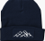 French Navy